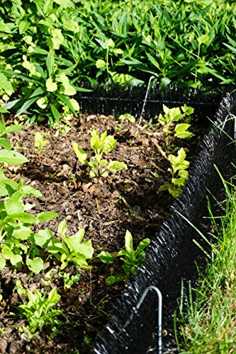 Schneckenzaun Muster aufgestellt im Gartenbeet